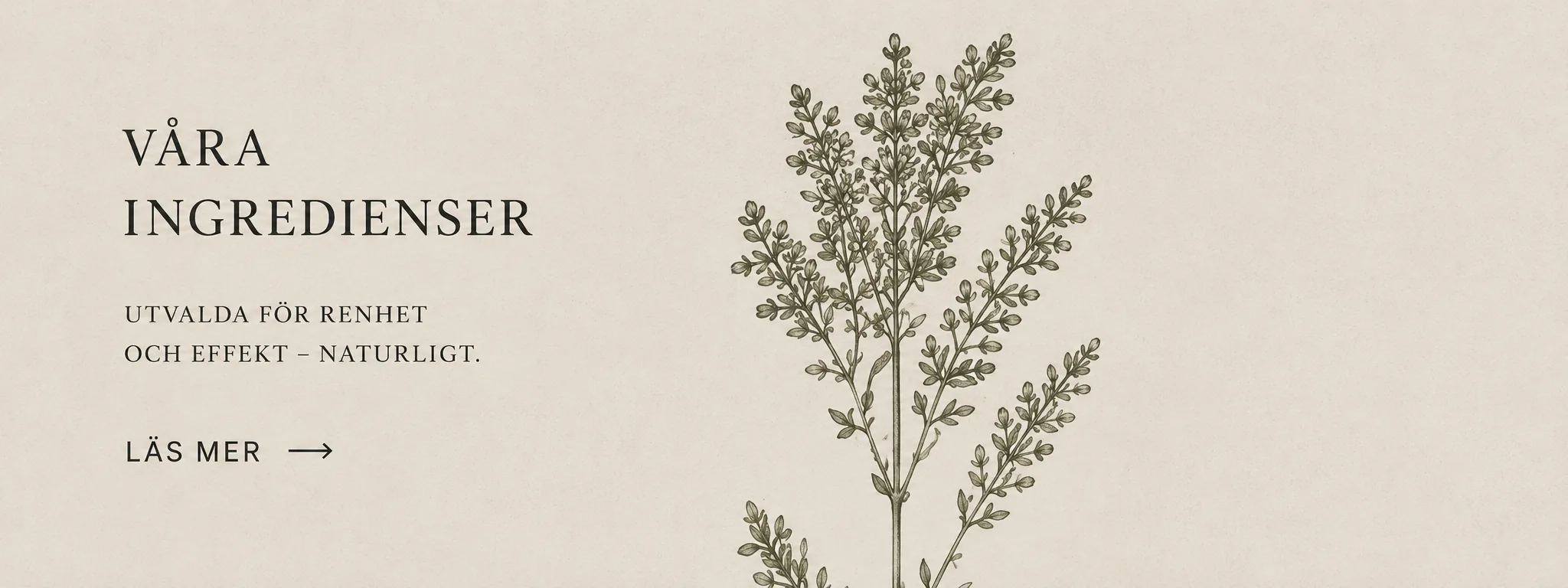 Våra ingredienser – utvalda för renhet och effekt, naturligt.